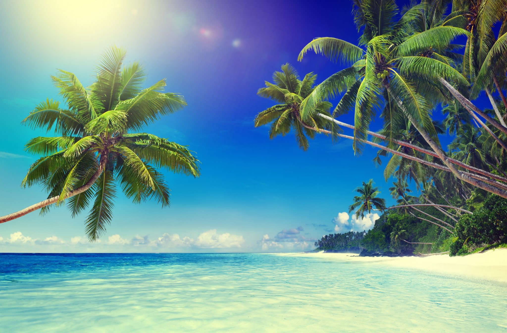 Beach Zoom Free Virtual Backgrounds