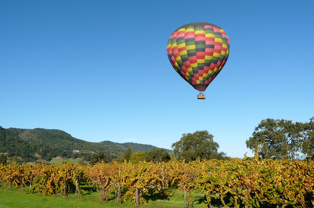 wine and country