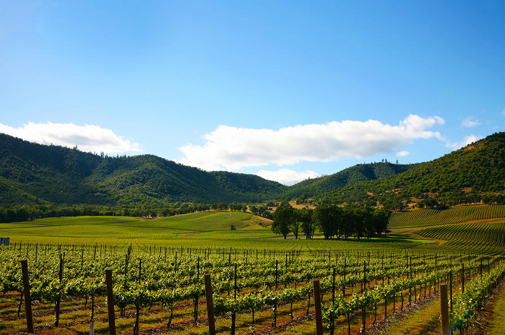 Wine Country - Travel Leaders / Destinations Unlimited